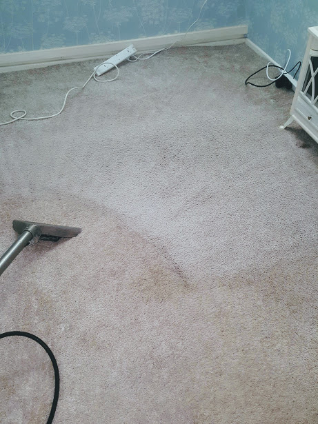 Carpet cleaning st helens