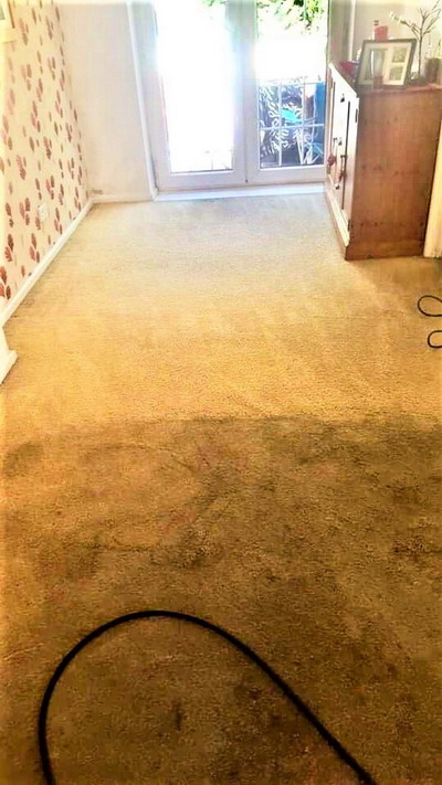 Carpet Cleaning Warrington