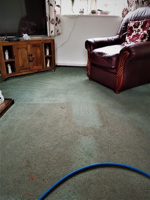 Carpet cleaners in Warrington