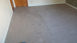 Carpet cleaning Lymm