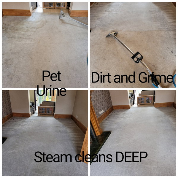 Carpet cleaners in Penketh, Warrington