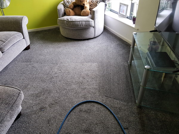 Runcorn carpet cleaners