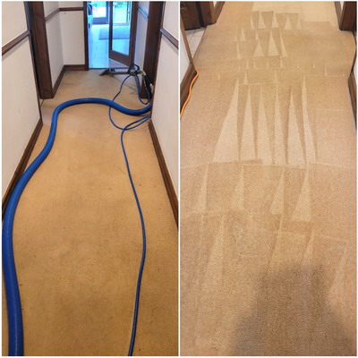 Carpet cleaning service Appleton, Warrington
