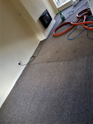 Removing bacteria, grease, stains and grime from a carpet in Lymm, Cheshire.