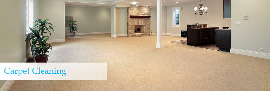 Carpet cleaning service