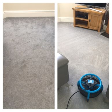 Carpet Cleeaning newton le willows